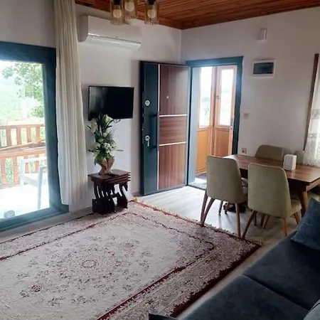 Alya 1 Arti 1 * Mugla