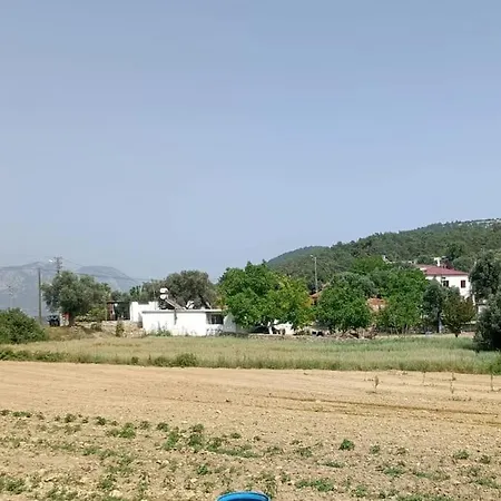 Alya 1 Arti 1 * Mugla